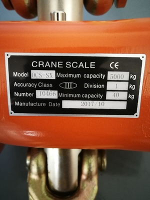 50KG elektronisch Crane Scale With Digital Weighing-Haaksaldo