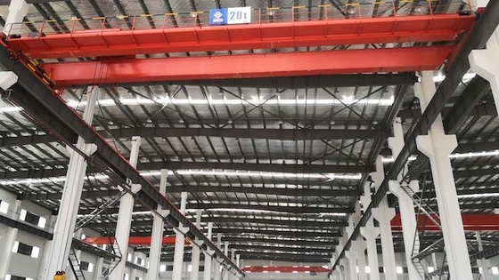Europese de Luchtkraanhmi CMAA Elektrische Brug Crane Hoist van Ce 20T 50T 100T